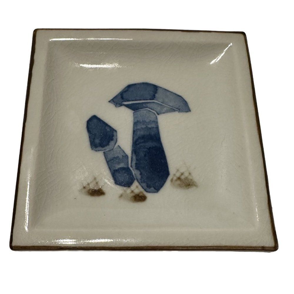 Vintage Mushrooms Plate Appetizer Plate Trinket Dish  Square Blue Crazing